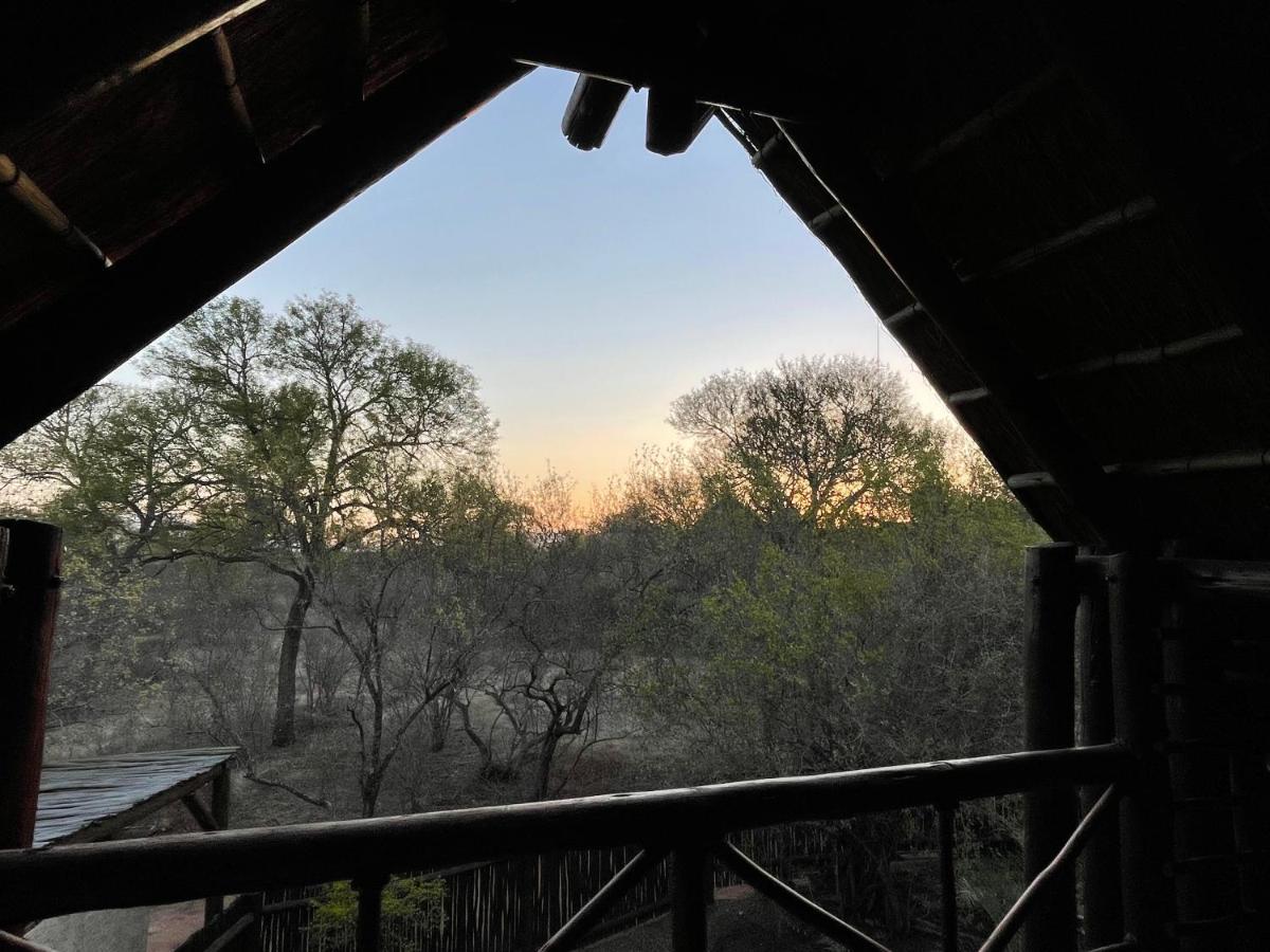 The Cheetah Rest Villa Hoedspruit Esterno foto
