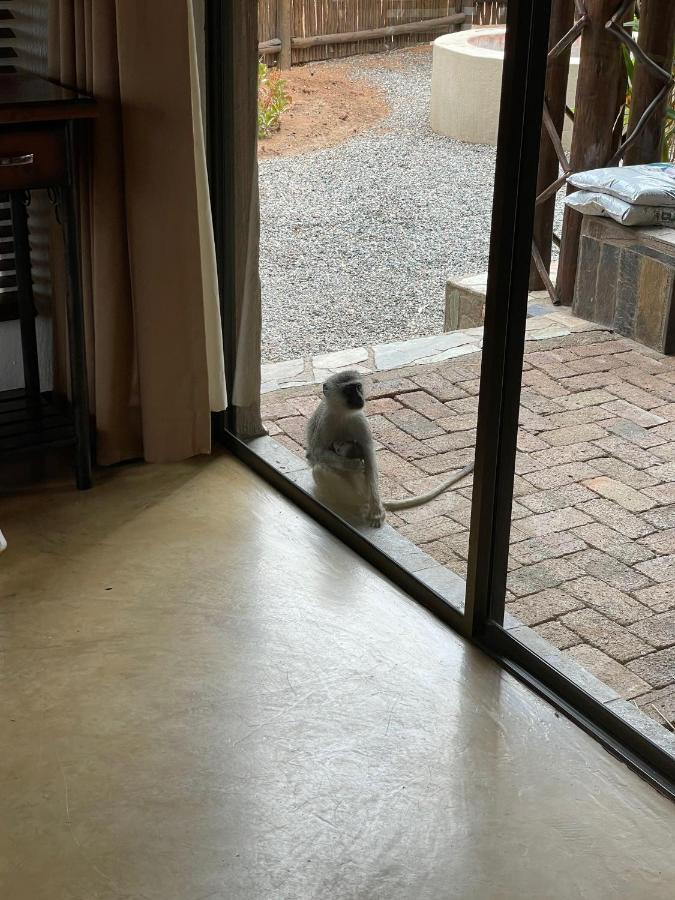 The Cheetah Rest Villa Hoedspruit Esterno foto