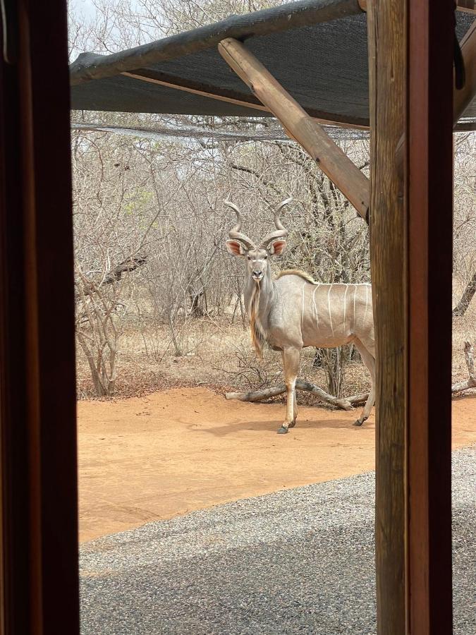 The Cheetah Rest Villa Hoedspruit Esterno foto